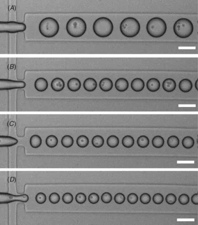 Droplet microfluidics for single-cell isolation and genomic sequencing