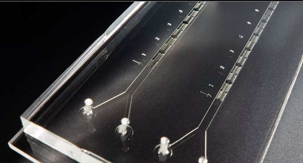 New NIST Heart on a Chip Microfluidic Platform Speeds Drug Discovery & Commercialization 