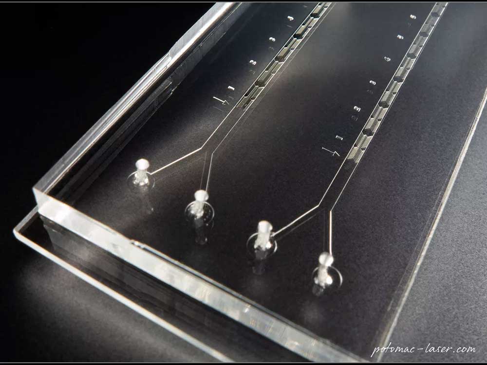 New NIST Heart on a Chip Microfluidic Platform Speeds Drug Discovery & Commercialization 